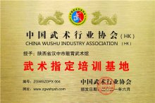 陕西省汉中市龙霄武术馆